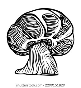 A Black hand-drawn vector illustration of One fresh mushroom isolated on a white background