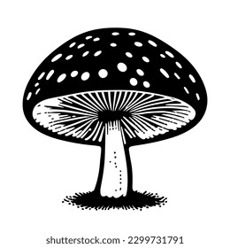 A Black hand-drawn vector illustration of One fresh mushroom Fly agaric isolated on a white background