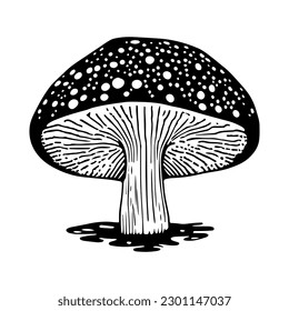A Black hand-drawn vector illustration of One fresh mushroom Fly agaric isolated on a white background