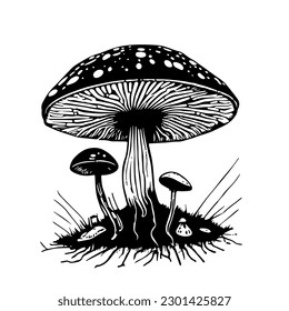 Schwarz-handgezeichnet, Vektorgrafik von einem frischen Pilz Fly agaric einzeln auf weißem Hintergrund