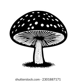 Eine schwarz gezeichnete Vektorgrafik von einem frischen Pilz Fly agaric einzeln auf weißem Hintergrund