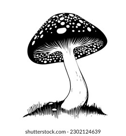 A Black hand-drawn vector illustration of One fresh mushroom Fly agaric isolated on a white background