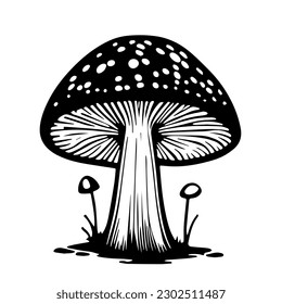 Dibujo vectorial dibujado a mano en negro de una seta fresca Fly agaric aislada en un fondo blanco