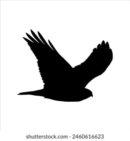 Black hawk silhouette isolated on white background. Hawk icon vector illustration design.