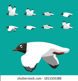 Black Head Gull Flying Animation Sequence Cartoon Vector