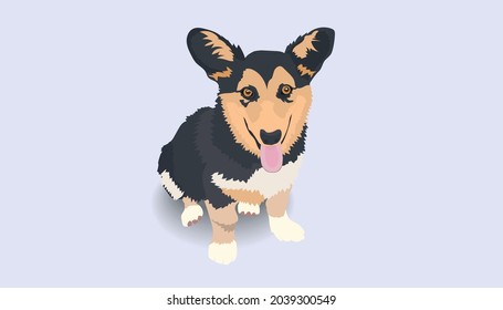 Black head tri-color Pembroke Welsh Corgi sit down on ground and smile