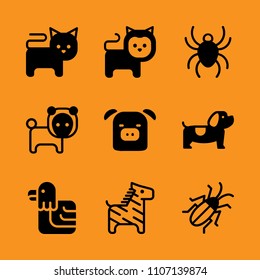 black, health, pesticide and piglet icon set. Vector illustration for web and design.