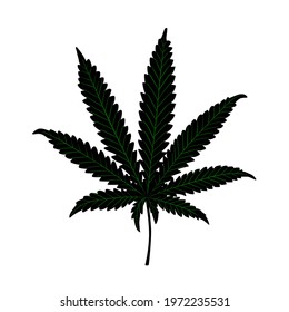 Black hemp leaf with green streaks isolated on a white background. Vector illustration.