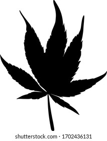 Black hemp leaf isolated on a white background. Silhouette of cannabis. Vector illustration