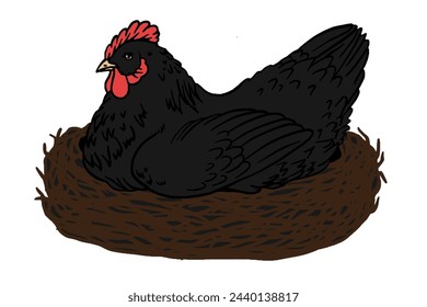 Black Hen in nest, color illustration for poster, flyer, farm products package, book design. poultry farming and egg production symbol. Natural eggs incubation, organic farming