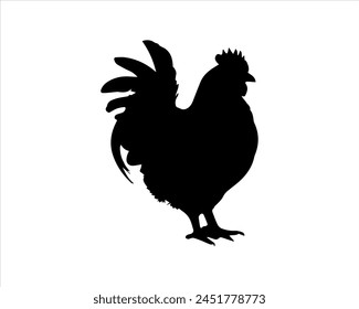 Black hen silhouette vector illustration on white background