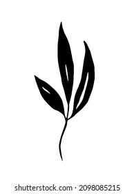 Black herb. Vector clipart. Hand drawn