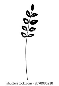 Black herb. Vector clipart. Hand drawn