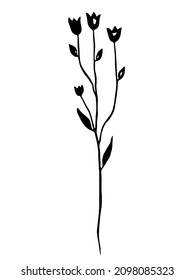 Black herb. Vector clipart. Hand drawn