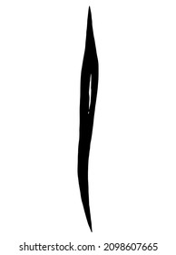 Black herb. Vector clipart. Hand drawn	
