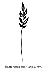 Black herb. Vector clipart. Hand drawn	
