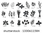 Black herbs spices silhouettes. Popular culinary herbs, stamp print vector illustration. Bay leaf, lemongrass, fennel, dill, cilantro and chives. Thyme, lemon balm, tarragon etc. Seasoning food design