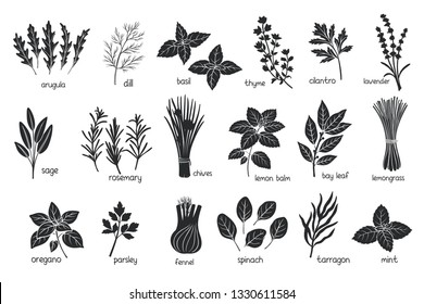 Black herbs spices silhouettes. Popular culinary herbs, stamp print vector illustration. Bay leaf, lemongrass, fennel, dill, cilantro and chives. Thyme, lemon balm, tarragon etc. Seasoning food design
