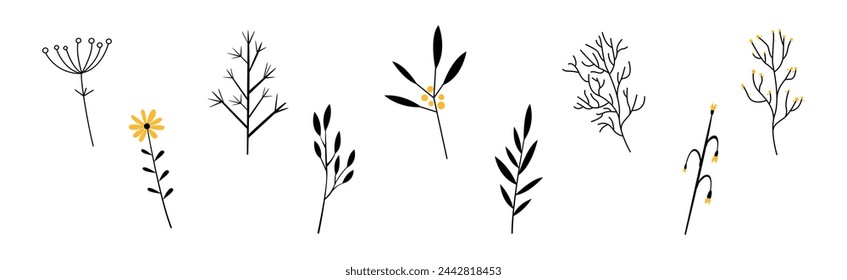 Black Herbs and Twig with Stem and Stalk Vector Set