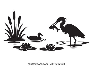 Black heron bird catching fish in a pond with reeds