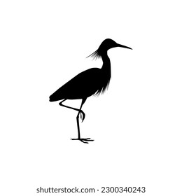 The Black Heron Bird (Egretta Ardesiaca), also known as the Black Egret Silhouette for Art Illustration, Logo, Pictogram, Website, or Graphic Design Element. Vector Illustration