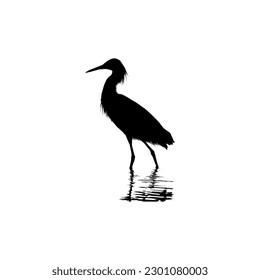 The Black Heron Bird (Egretta Ardesiaca), also known as the Black Egret Silhouette for Art Illustration, Logo, Pictogram, Website, or Graphic Design Element. Vector Illustration