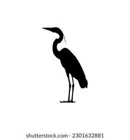 The Black Heron Bird (Egretta Ardesiaca), also known as the Black Egret Silhouette for Art Illustration, Logo, Pictogram, Website, or Graphic Design Element. Vector Illustration