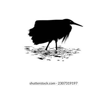 The Black Heron Bird (Egretta Ardesiaca) on the water, also known as the Black Egret Silhouette for Art Illustration, Logo, Pictogram, Website, or Graphic Design Element. Vector Illustration