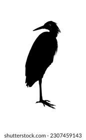 The Black Heron Bird (Egretta Ardesiaca), also known as the Black Egret Silhouette for Art Illustration, Logo, Pictogram, Website, or Graphic Design Element. Vector Illustration