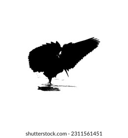 The Black Heron Bird (Egretta Ardesiaca), also known as the Black Egret Silhouette for Art Illustration, Logo, Pictogram, Website, or Graphic Design Element. Vector Illustration
