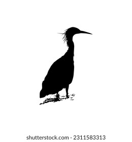 The Black Heron Bird (Egretta Ardesiaca), also known as the Black Egret Silhouette for Art Illustration, Logo, Pictogram, Website, or Graphic Design Element. Vector Illustration