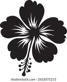 Flor de hibisco preto com pétala de branco estame