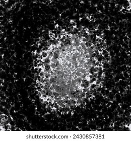 Black hole abstract rough pattern