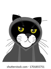 gato negro encapuchado. ilustración vectorial de los animales en ropa