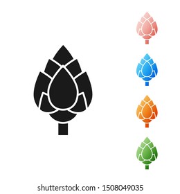 Black Hop icon isolated on white background. Set icons colorful. Vector Illustration