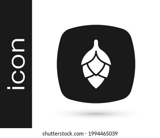 Black Hop icon isolated on white background.  Vector