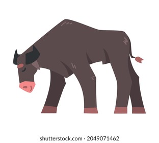 Black Horned Standing Bull with Hoof and Muscular Neck Vector Illustration