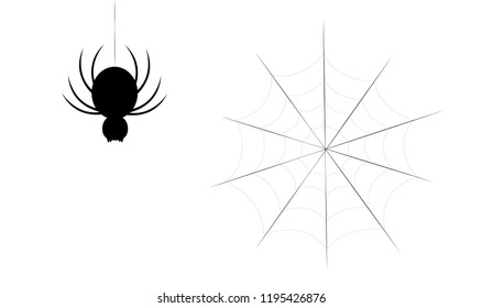 Black horror vector ,spider and cobweb illustration,halloween day.