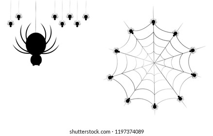 Black horror vector ,spider and cobweb illustration,halloween day.