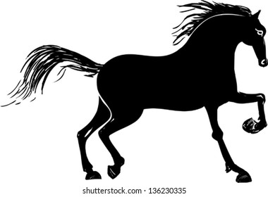 Black horse