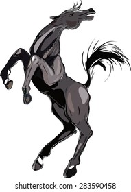 Black horse