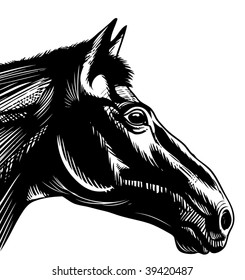 Black Horse