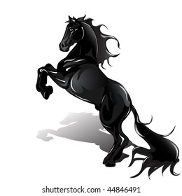 black horse