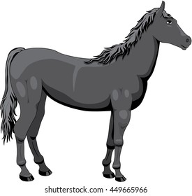 Black horse