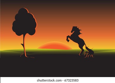 black horse