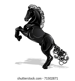black horse