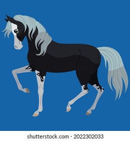 Black horse doing training exercises. Vector isolated illustration on light blue background.