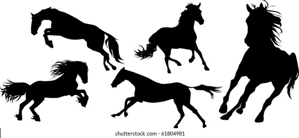 black horse galloping on a black background;