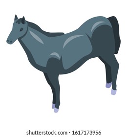 Black horse icon. Isometric of black horse vector icon for web design isolated on white background