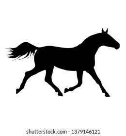 black horse icon. vector